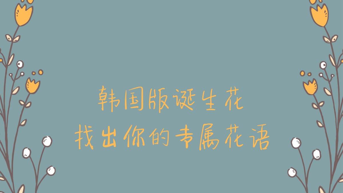 韩国版 诞生花 找出属于你的专属花语