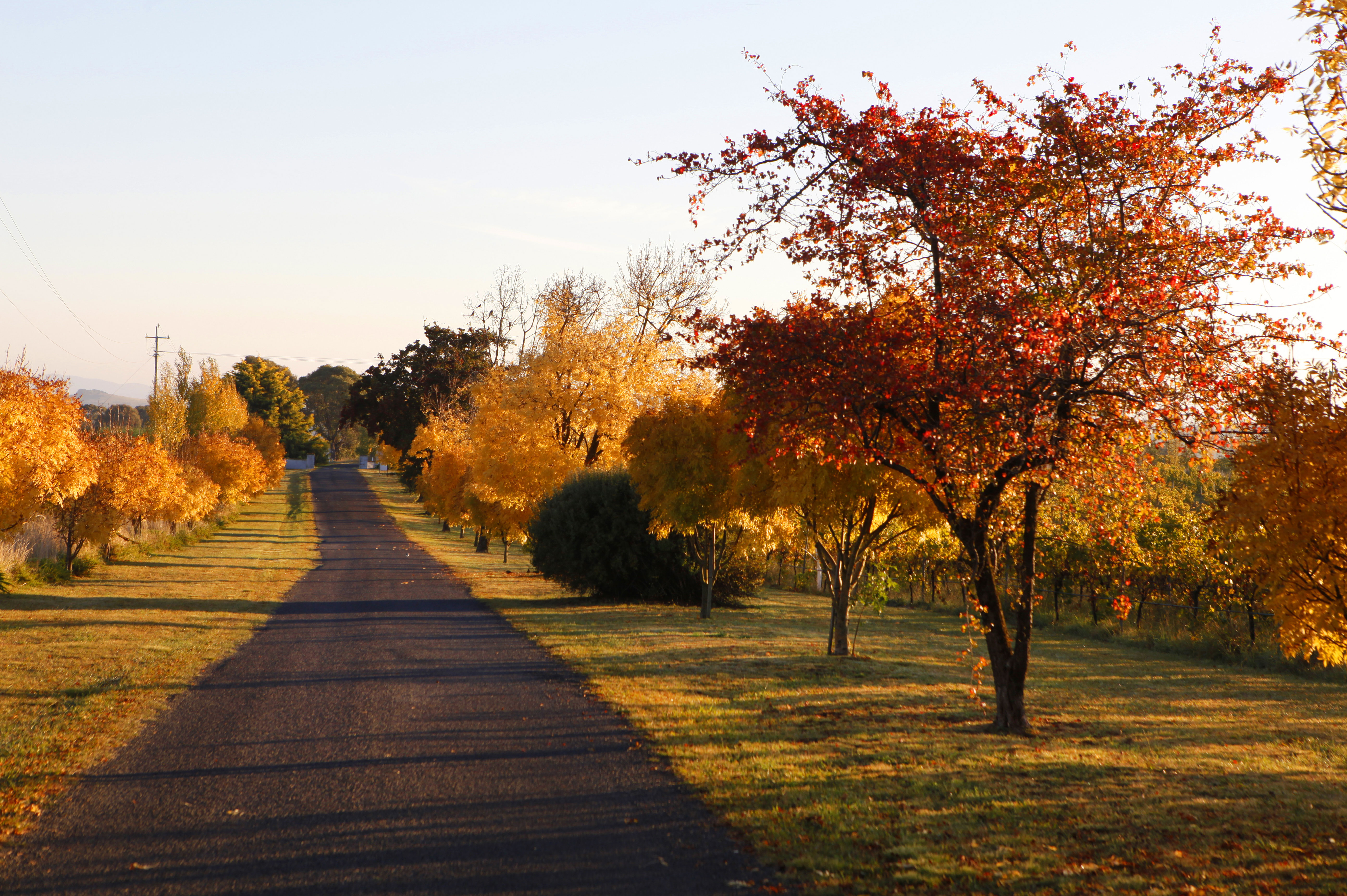 （图：Destination New South Wales 提供）